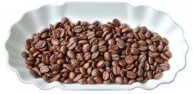Joefrex Coffee Cuppling Sample Tray Set of 12 Pcs 1