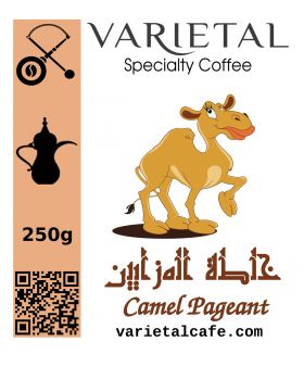Camel Pageant Saudi Coffee